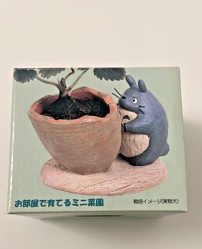 Studio Ghibli  My Neighbor Totoro Mini Planter Seasonal Strawberry